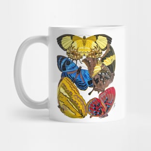 Butterflies Watercolor #14 Mug